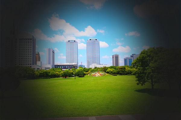 緑内障のイメージ画像