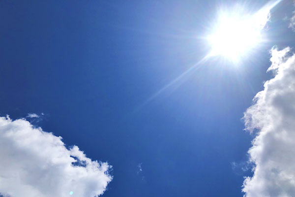 翼状片のイメージ画像